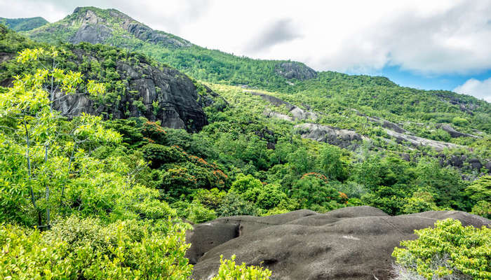 Natural Trails at Morne Seychellois Park