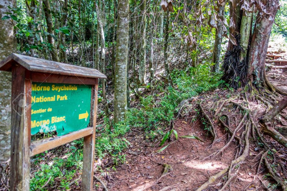 Natural Trails at Morne Seychellois Park