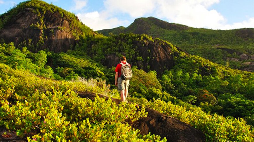 Natural Trails at Morne Seychellois Park