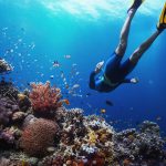 How do you get to St Anne Marine Park?