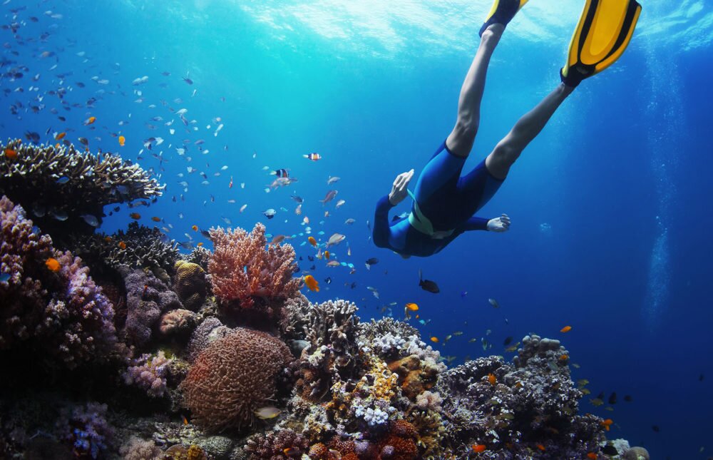 Tourist Attractions in Sainte Anne Marine National Park