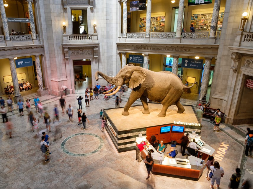 Top cities With Most Museums