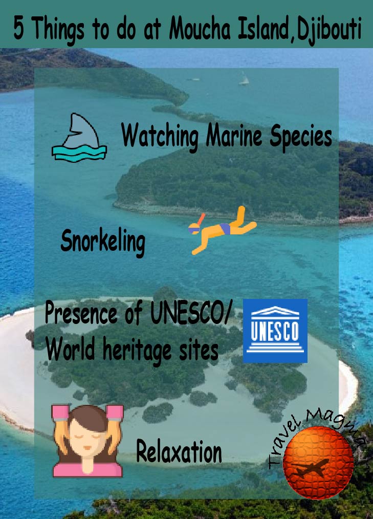 Things to do at Moucha Island, Djibouti