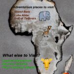 7+ Jaw-Dropping Things to Do in Djibouti