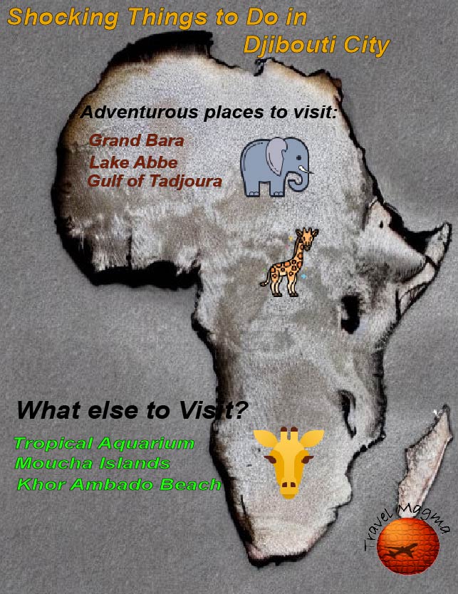 Things to Do in Djibouti