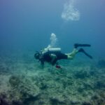 Is It Better to Stay in Key Largo or Islamorada?