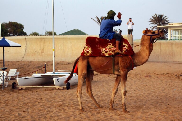 What is There to Do in Agadir at Night?