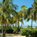 Which Key Has the Prettiest Beaches?