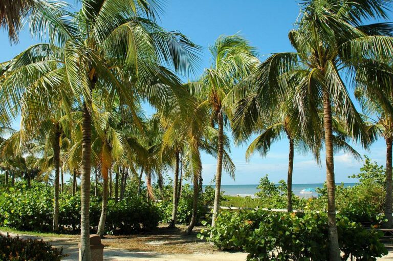 Which Key Has the Prettiest Beaches?
