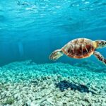 Which Florida Key has The Bluest Water?