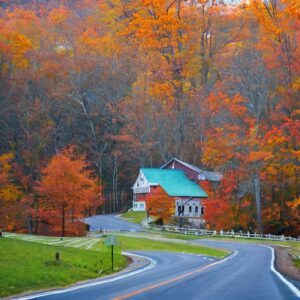 What is the Most Diverse City in Tennessee?