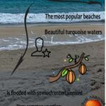 The Showdown:Cocoa Beach vs Siesta Key