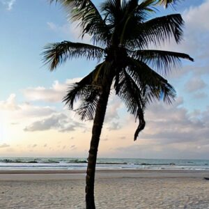 Cocoa Beach vs Anna Maria Island