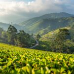 What Makes Malaysia One of the Most Unforgettable Places I've Ever Visited