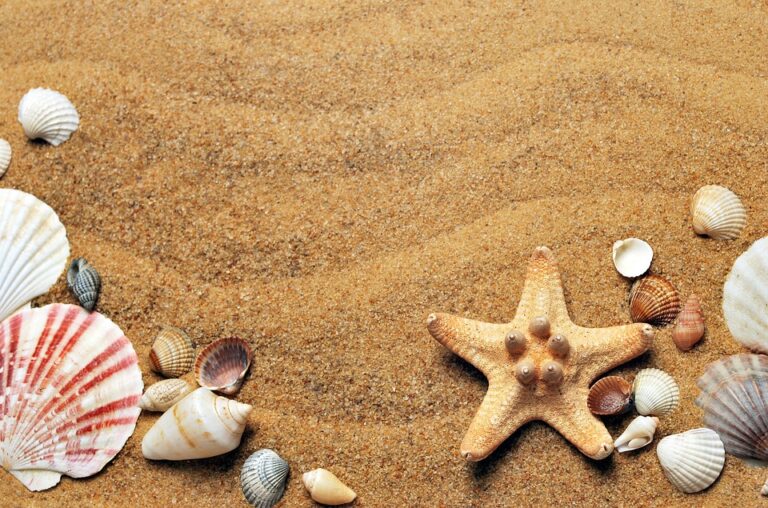 What Beach Has Pink Sand in FL?