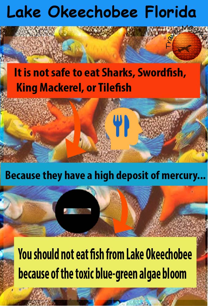 Can You Eat the Fish Out of Lake Okeechobee Florida?