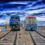 Can You Take a Dog on a Train in USA?