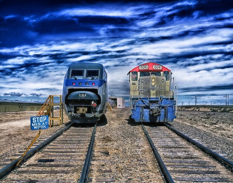 Can You Take a Dog on a Train in USA?