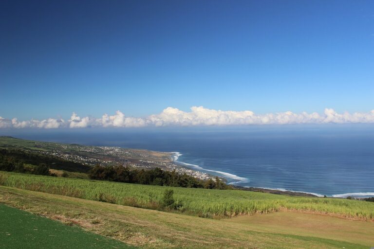 Is Reunion Island Rich or Poor?