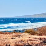 Is Réunion Island a Good Place to Live?