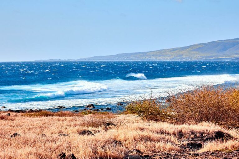 Is Réunion Island a Good Place to Live?