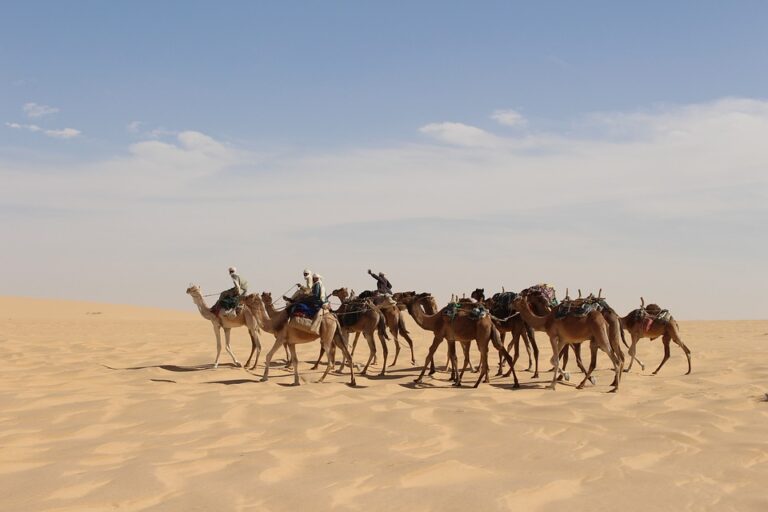 Why Should You Visit Chad?