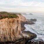 Why is Santa Cruz so Popular?