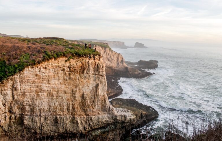 Why is Santa Cruz so Popular?