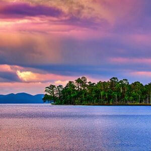 Florida's Most Alligator-Infested Lake