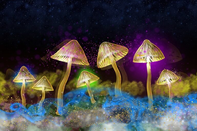 Can You See Bioluminescence From the Beach in Florida?
