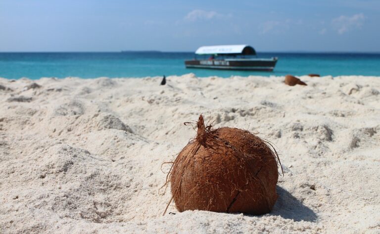 Do I Need Malaria Tablets in Zanzibar?