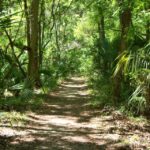 How Can We Prevent Sinkholes in Florida?