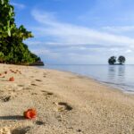 Is It Legal to Collect Seashells in Florida?