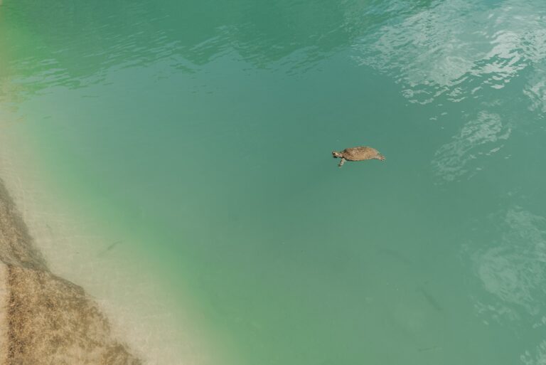 Is Lake Okeechobee Connected to the Ocean?
