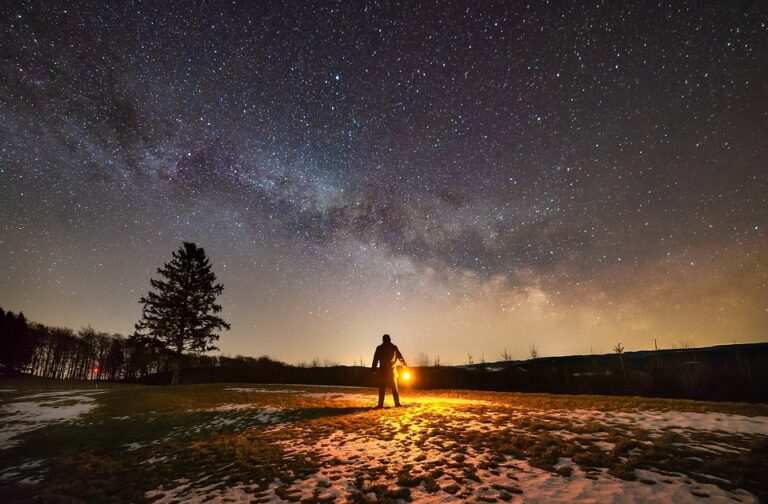Where Can You See the Milky Way in Florida?