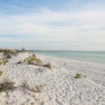 Who Owns Submerged Land in Florida?