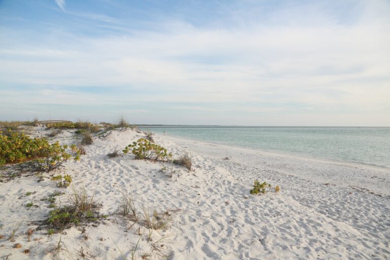 Who Owns Submerged Land in Florida?