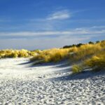 Why Can't You Walk on Dunes in Florida?