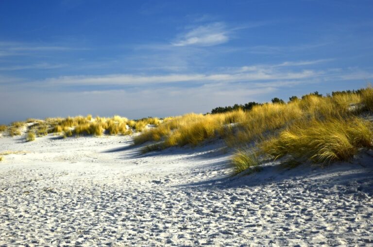 Why Can’t You Walk on Dunes in Florida?
