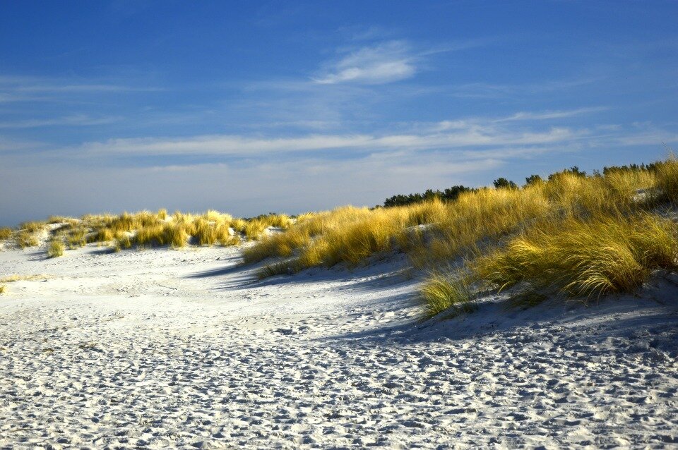 Why Can't You Walk on Dunes in Florida?