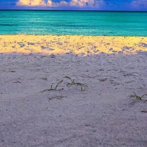 Can You Vape on Florida Beaches?