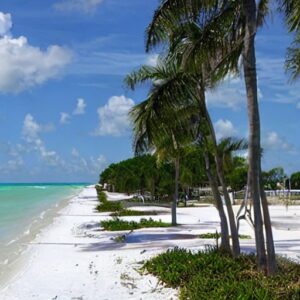 How Many Miles of Coastline Does Florida Have?
