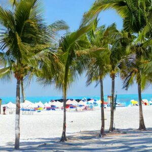 Can You Vape on Florida Beaches?