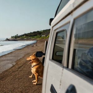 Can You Drive On The Beach In Florida?