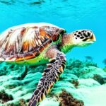 Grenada's 11 Most Beautiful Places