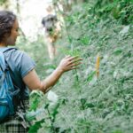 Can You Walk Around Key Largo?