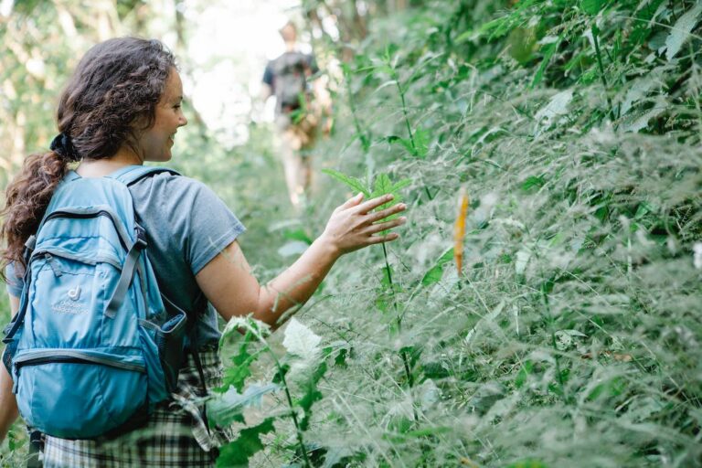 Can You Walk Around Key Largo?