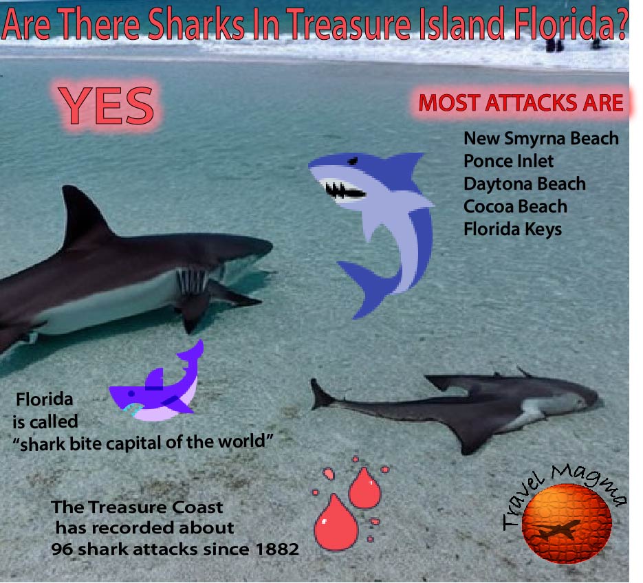 Are There Sharks in Treasure Island Florida?