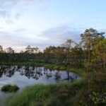 Is Corkscrew Swamp Sanctuary Free?