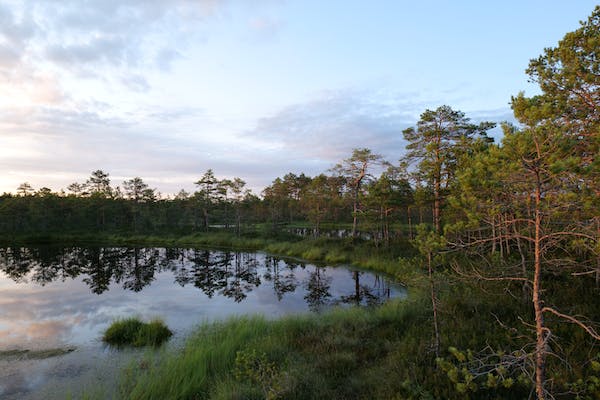 Is Corkscrew Swamp Sanctuary Free?